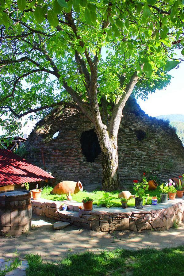 Hotel Beni Akhaltsikhe  Bagian luar foto